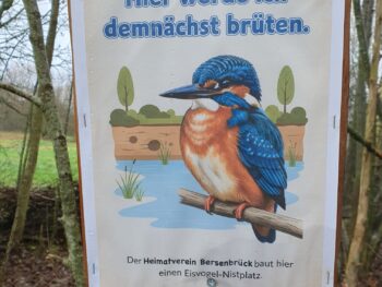 Permalink zu: Der Heimatverein erstellte eine neue Eisvogelröhre